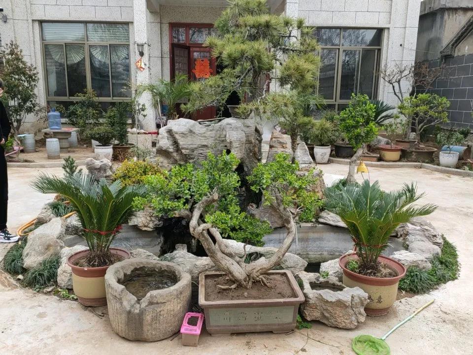 微信图片_20200422144105.jpg 微信图片_20200422144105.jpg