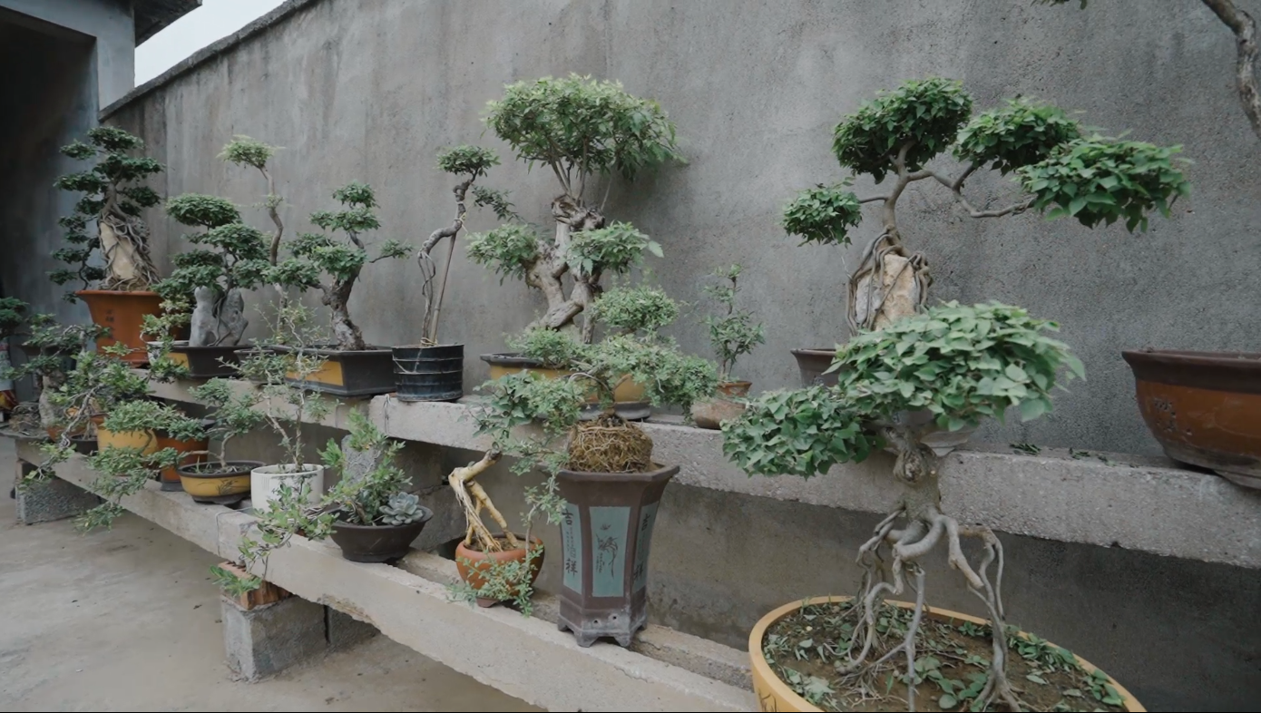 微信图片_20230608110006.png